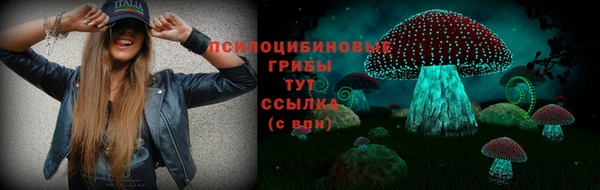 скорость Бородино