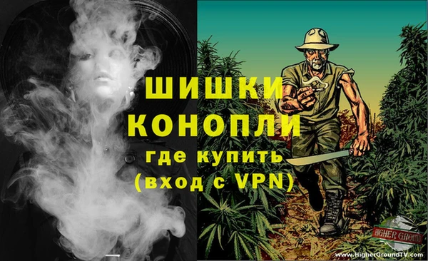 СК Бронницы
